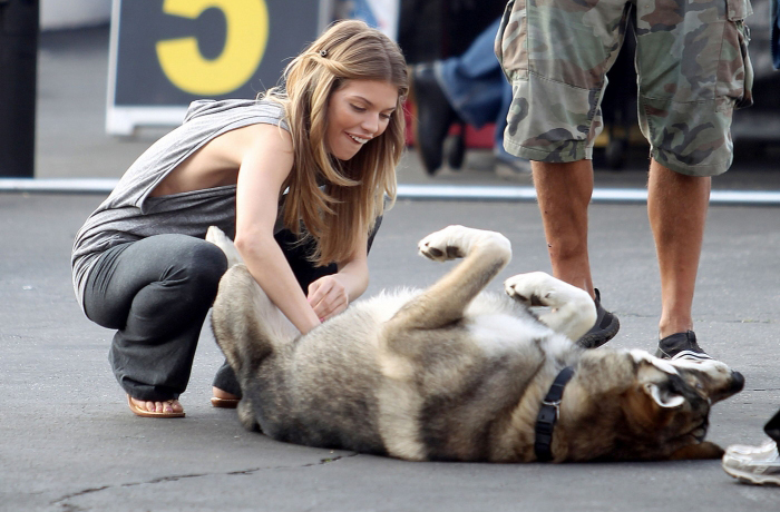 See ... I told you dogs love hand jobs .... See ... I told you dogs love hand jobs ....