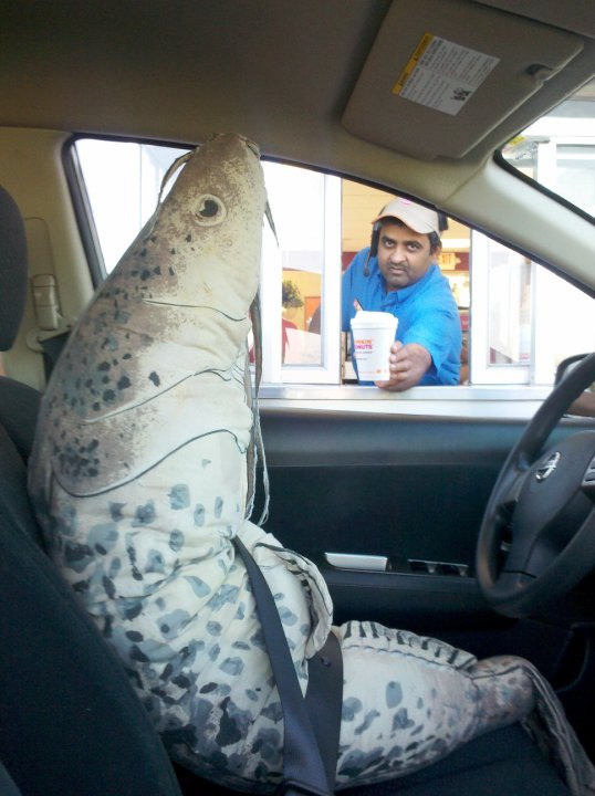 Hey achmed ... You wanna see my fish stick ? Hey achmed ... You wanna see my fish stick ?