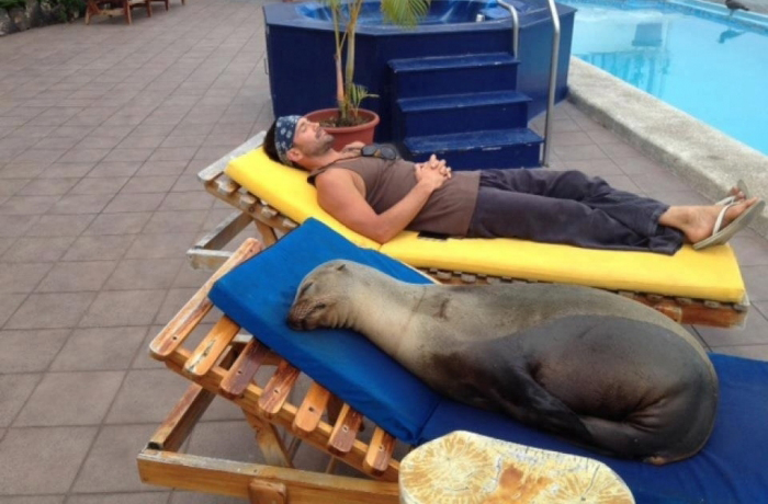 Ahhh, sealy posturepedic Ahhh, sealy posturepedic