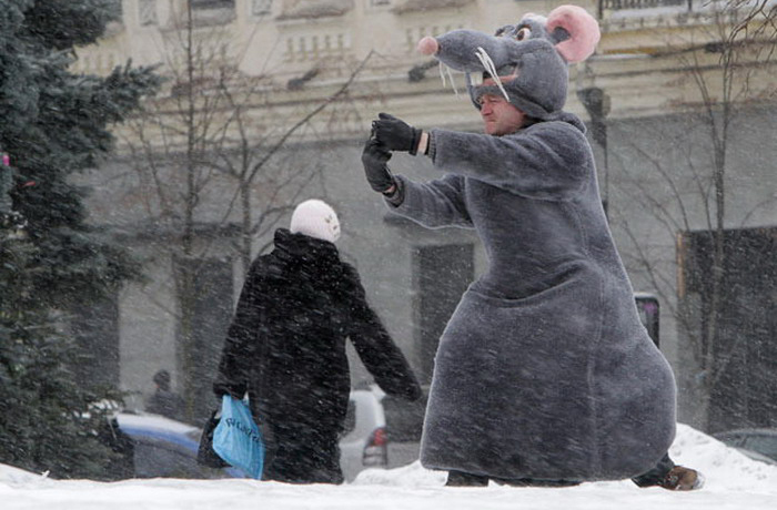 In soviet russia, animals take pictures of you! In soviet russia, animals take pictures of you!