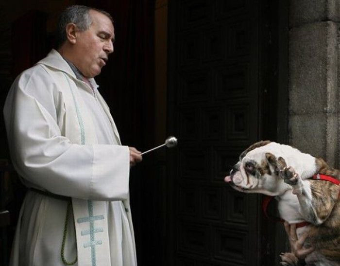 The power of christ compels you! The power of christ compels you!