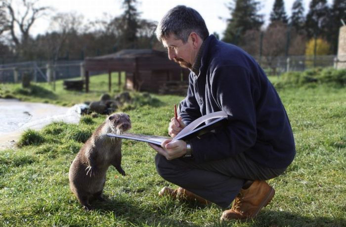 Gary oldman shows otto the curious otter his wikipedia entry on otters.... Gary oldman shows otto the curious otter his wikipedia entry on otters....