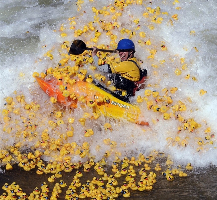 I got 99 problems but a duck aint one I got 99 problems but a duck aint one