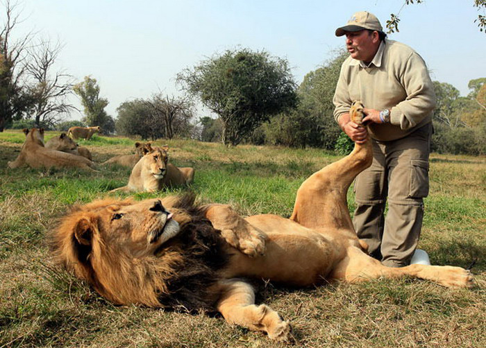 You played a good first half but i want you to get back out there and tear them to pieces!