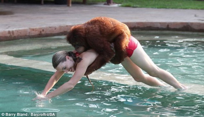 To be featured in the 2012 summer olympics: the 100 meter orangutan. To be featured in the 2012 summer olympics: the 100 meter orangutan.