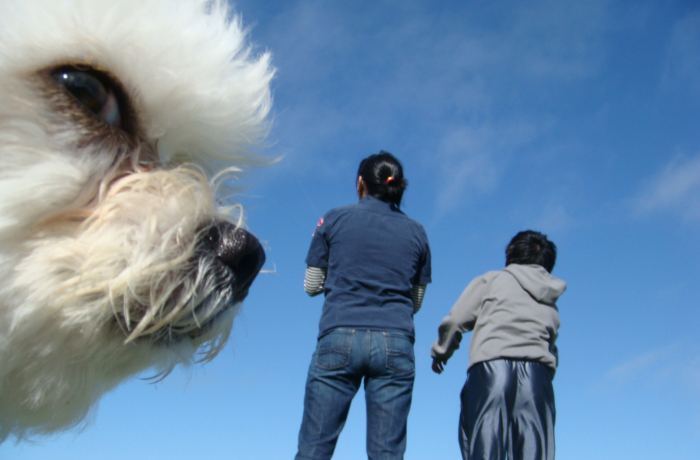 Im serious! That cloud looks just like a dog to me! Im serious! That cloud looks just like a dog to me!