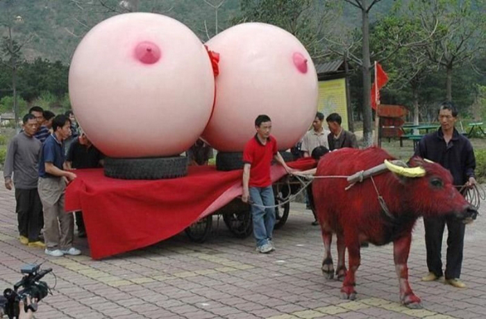 Just another normal day in japan. Just another normal day in japan.